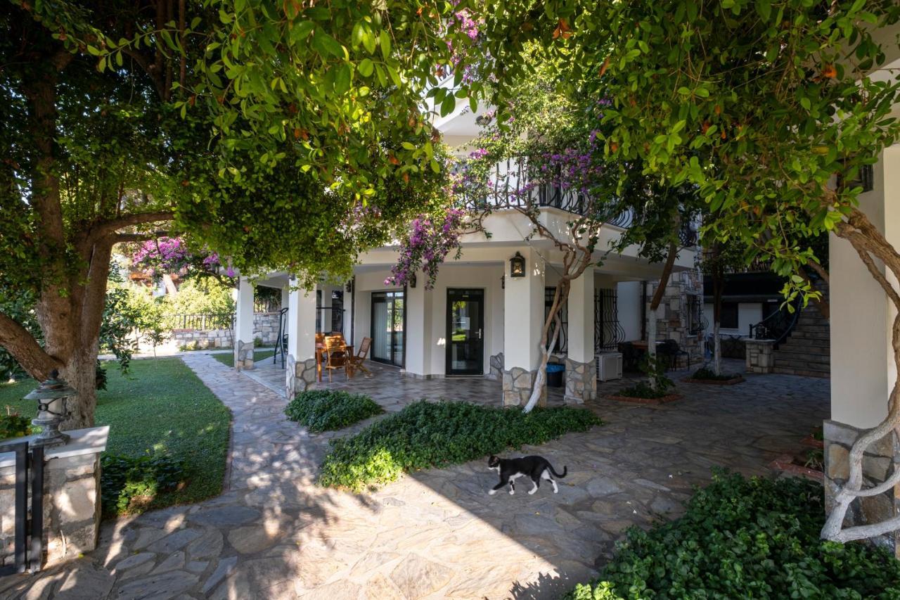 אקיאקה Villa Marine Hotel מראה חיצוני תמונה